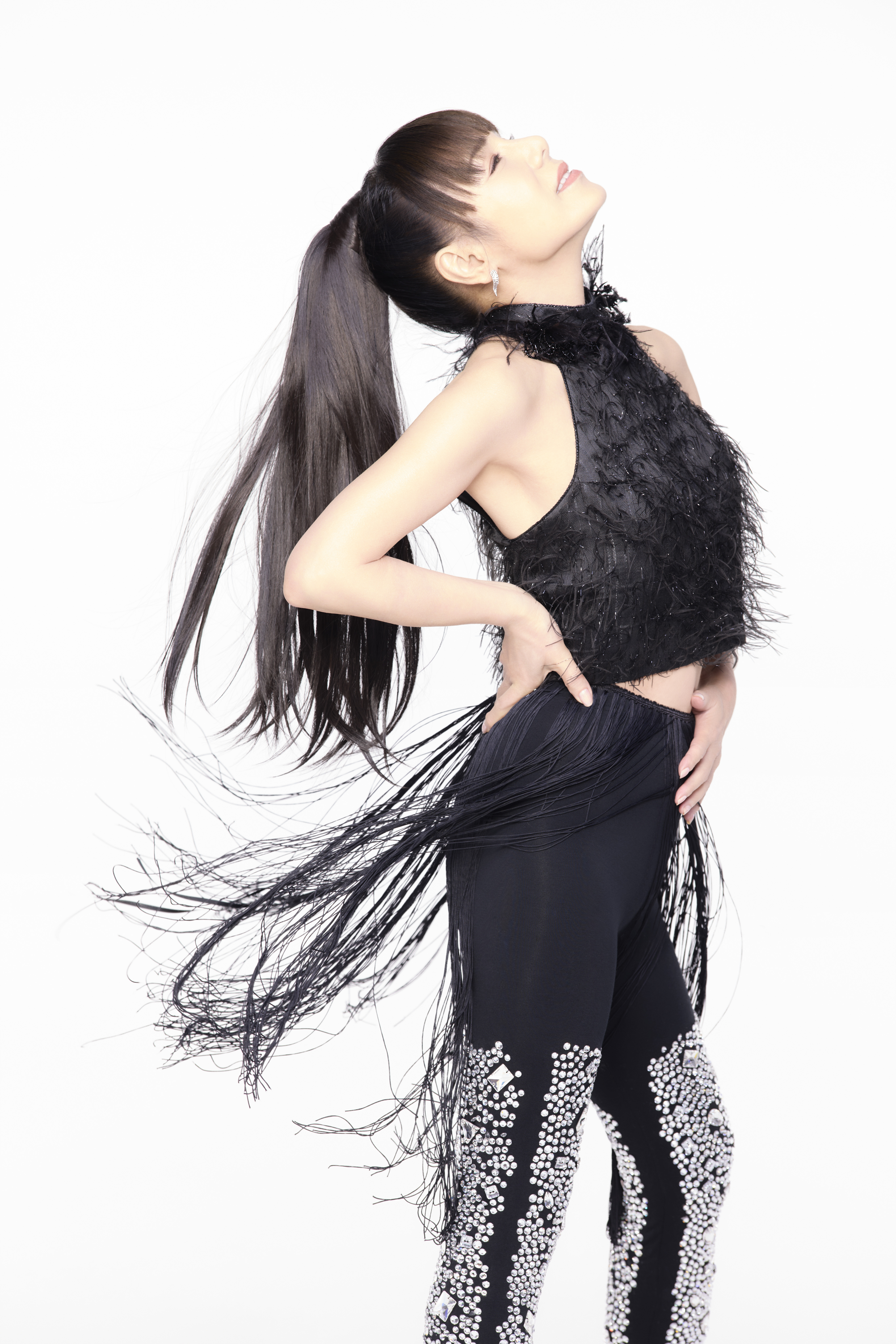 ̤ͣmie DEBUT 50th & SOLO 45th Anniversary Celebration 
presented by Achievement Corporation