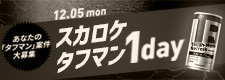 եޥ1DAY