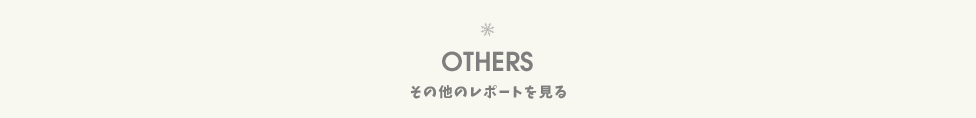 その他のレポート